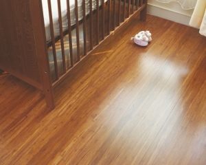 Make your home more modern through Bamboo flooring Melbourne