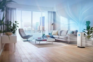 How To Clean A Home Humidifier Filter