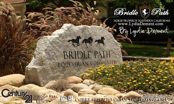 Bridle Path Homes For Sale - Lydia Dement