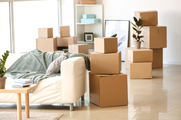 5 Pro Tips To Help You With Your First Move