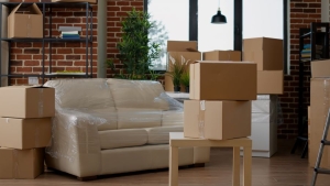 Smooth Moves: Expert Packing Tips for Homeowners and Professionals