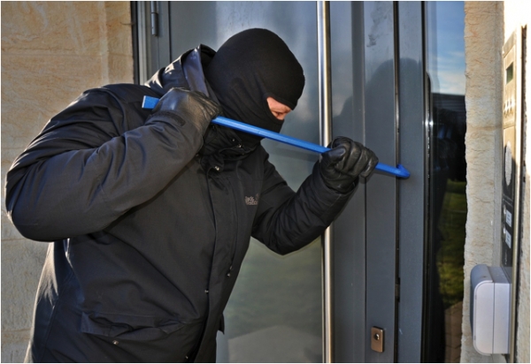 Take a Bite Out of HOA Crime