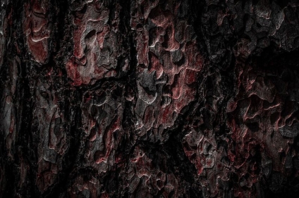 Design Depth: Using Texture to Bring Rooms to Life