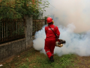 Effective Pest Control Strategies for Commercial Properties
