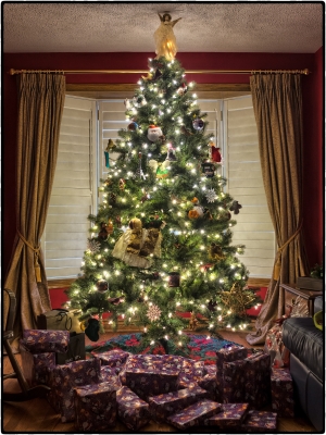 The Right Christmas Tree For Your House