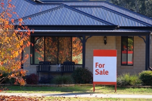 Wholesale Real Estate: A Basic Guide