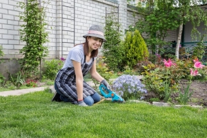 Home Gardening Myths Debunked: What Every Singaporean Gardener Should Know