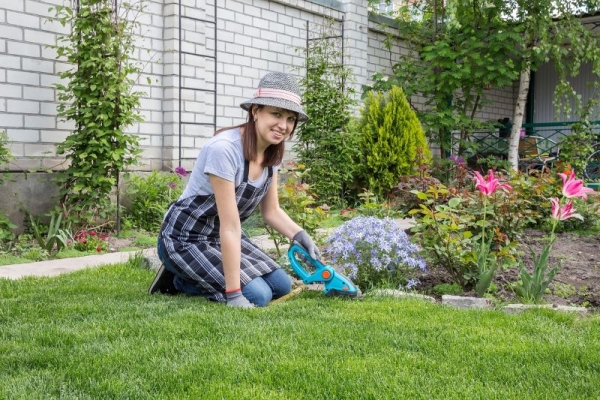 Home Gardening Myths Debunked: What Every Singaporean Gardener Should Know