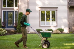 Why you should use fertilizer on your yard