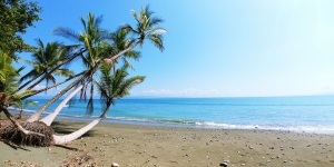 Real Estate Talks – Buy The Dream Beachfront Property in Costa Rica