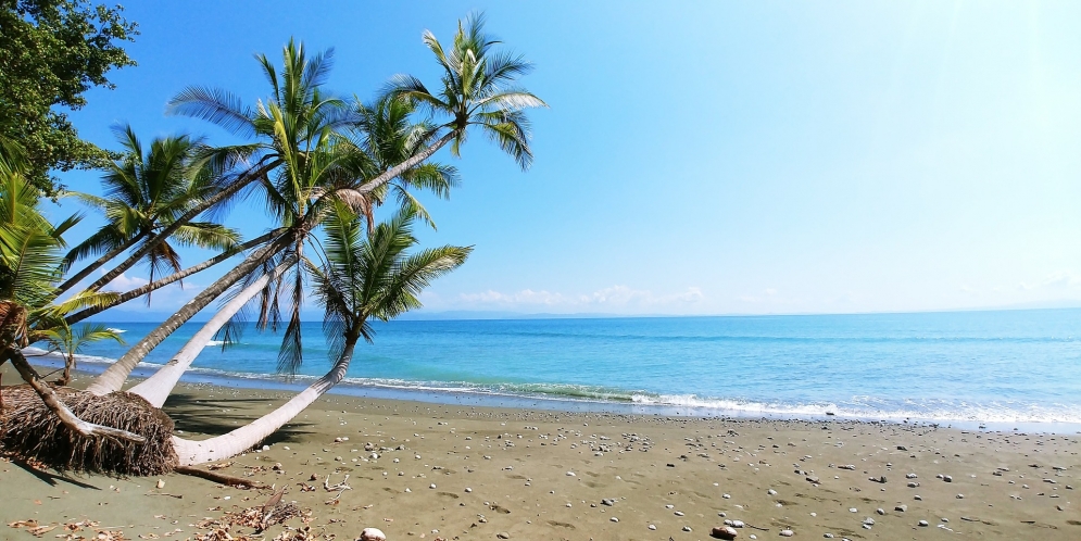 Real Estate Talks – Buy The Dream Beachfront Property in Costa Rica
