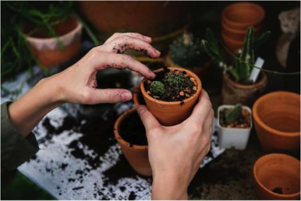 15 Ideas for Home Projects on a Budget