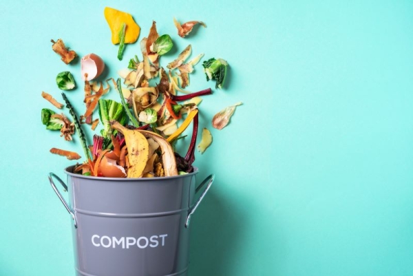 Space Constraints and Sustainable Living: How to Maximize Small Spaces for a Greener Home