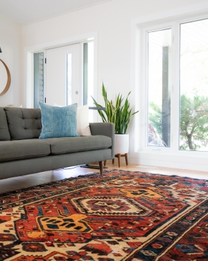 Best Way to Clean Carpet Without a Machine