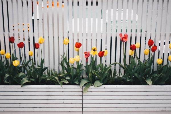 House with a Picket Fence: 4 Steps to Getting the Home of Your Dreams