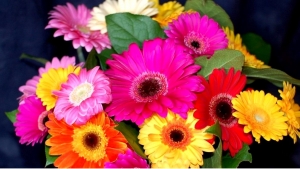 How to Enlighten Your Home Beauty with Flowers