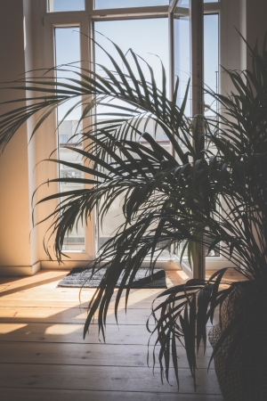 What it Takes to have a Green Home: 6 Ideas
