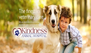The essential features of the Veterinarian Tulsa
