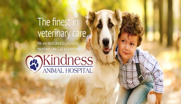 The essential features of the Veterinarian Tulsa