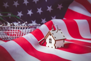 The Impact of Government-Issued Tariffs on Home Sales in the US