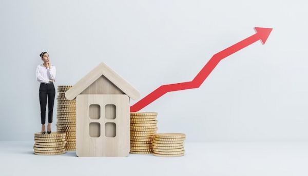 How an Expert Agent Can Boost Your Real Estate Profits