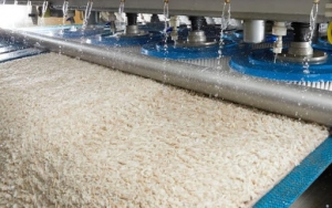 How To Choose the Best Carpet Cleaning Company