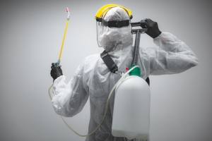 Apartment Pest Control Tips for Property Owners