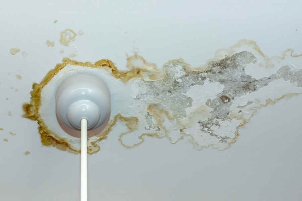How to Fix a Commercial Roof Leak: What Building Owners Need to Know