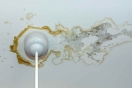 How to Fix a Commercial Roof Leak: What Building Owners Need to Know