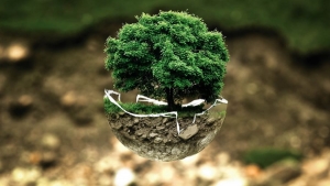 Understanding the Overlaps: Where CEQA Meets NEPA in Environmental Compliance