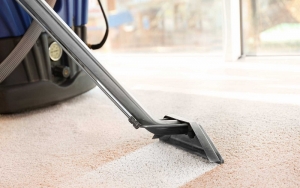 Importance of Professional Carpet Cleaning Services