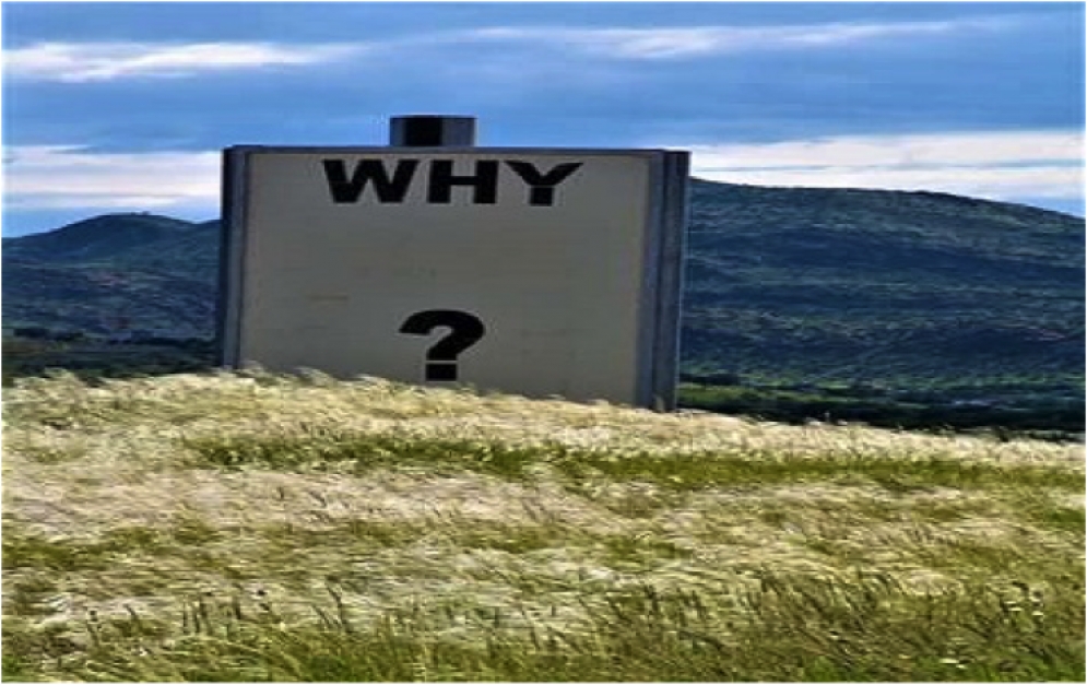Top 10 Questions for FSBOs