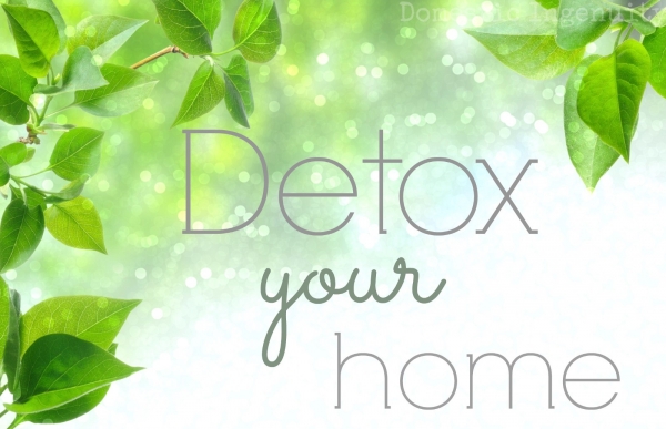 Why You Need to Detox your Home
