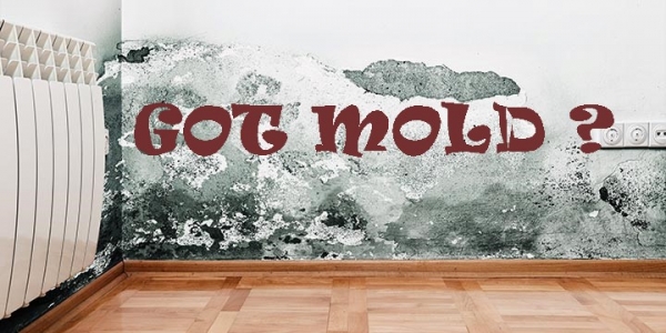 Mold