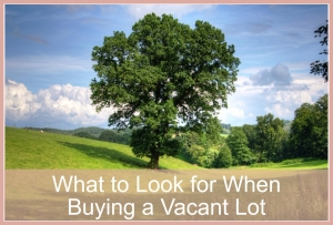 Land for Sale in Warrenton VA - Scenic countryside views are yours to enjoy in the Warrenton VA land for sale.