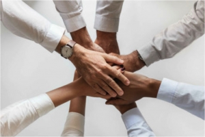 Join a Team or Go it Alone?