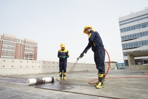 Pros and Cons of Different Waterproofing Materials