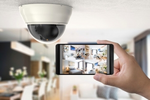 From Dogs to Deadlocks: A Guide to Home Security Options