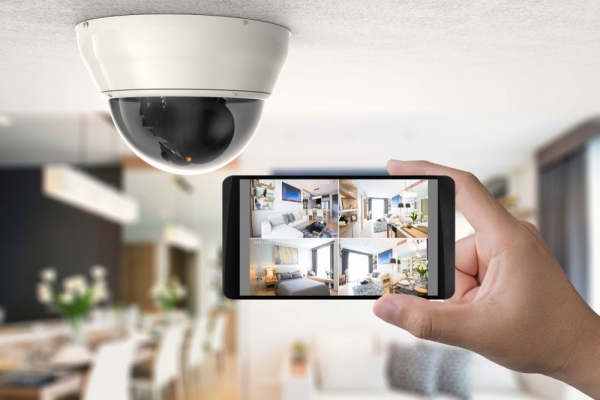 From Dogs to Deadlocks: A Guide to Home Security Options