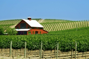 Your Essential Moving To Portugal Checklist
