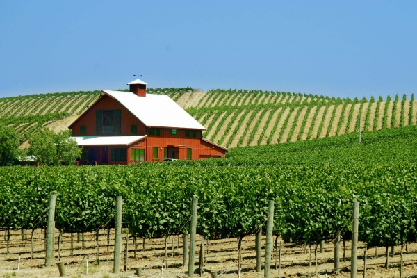 Your Essential Moving To Portugal Checklist