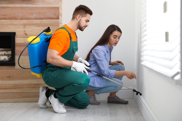 How To Prepare Your House For Pest Control Treatment