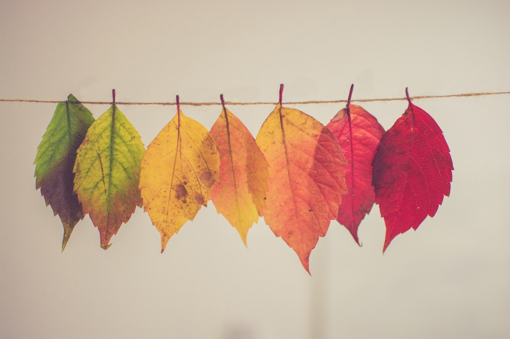 If Disruptions Force Change, Imagine the Power of Transformation