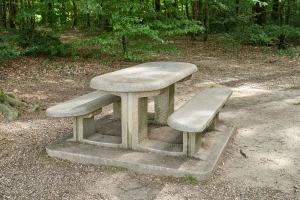 9 Low-Maintenance Features: The Long-Term Benefits of Permanent Concrete Picnic Tables