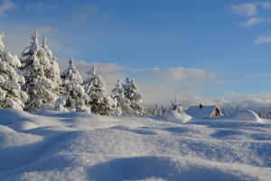 How to Avoid the Winter Blues: Tips for Staying Happy and Healthy