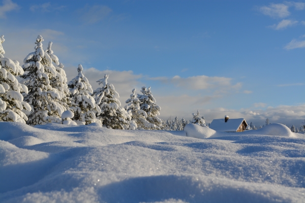 How to Avoid the Winter Blues: Tips for Staying Happy and Healthy