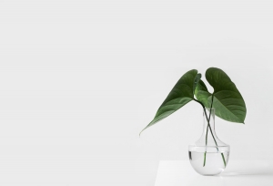 Your Guide to Minimalist Interior Design