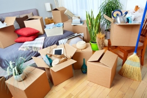 Tips for Ensuring a Success and Stress-free Move