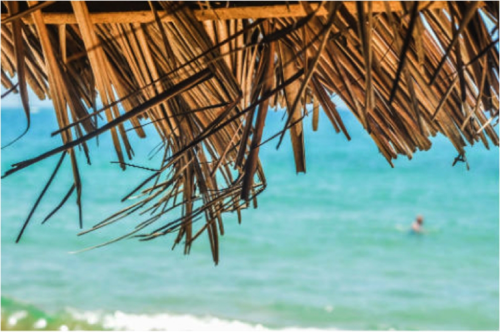 Three Steps to Double Your Productivity with Vacations