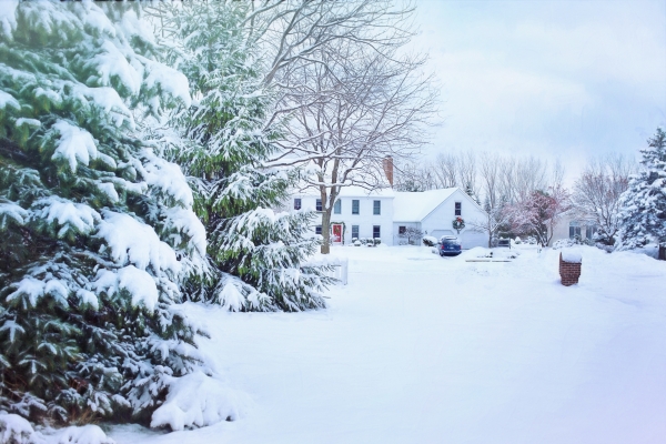 Preparing your yard for winter
